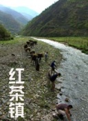 万古至尊动态：最新更新和未来发展趋势